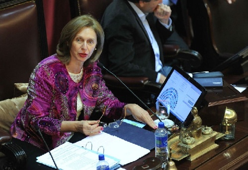 Para Beatriz Rojkés,para la senadora nacional y esposa de Alperovich la quema de urnas y los incidentes fueron