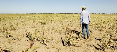 "El Gobierno K fue (para el campo) más dañino que todos los fenómenos naturales juntos"