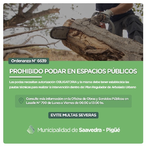 Municipalidad de Saavedra Pigüé recuerda