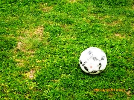 LRF - Inferiores - Tarde perfecta para los equpos pigüenses en 8º de final. 